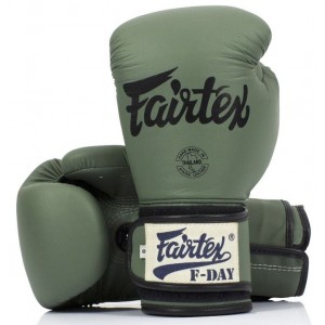Перчатки боксерские Fairtex (BGV-11 F Day)